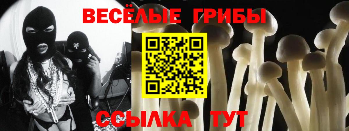 Псилоцибиновые грибы прущие грибы  Вход с VPN  купить наркотики сайты  Муром 