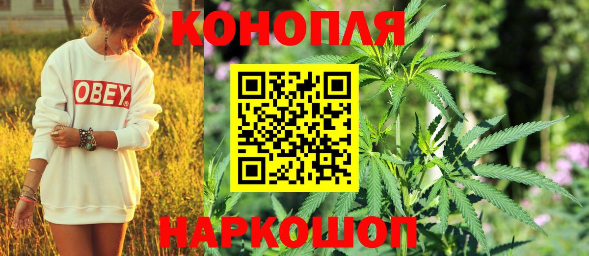Бошки марихуана индика  Шишки марихуана Amnesia  Вход с VPN  Конопля White Widow  Муром 
